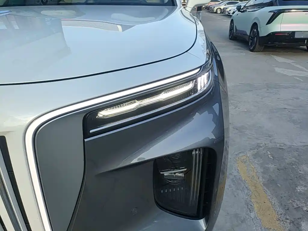 Hongqi Hongqi E-HS9 — миниатюра 24