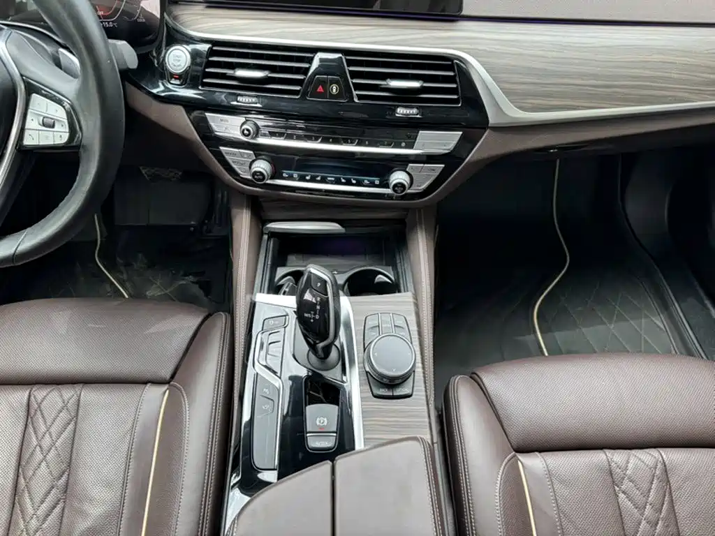 BMW 5 Series 5 2020 530Li Premium Luxury
