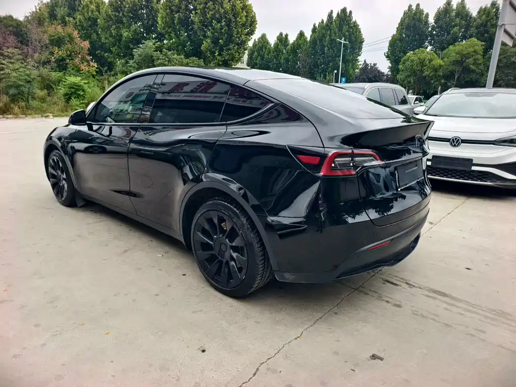 Tesla Model Y — миниатюра 4