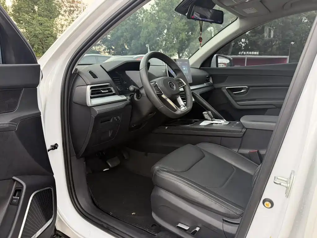 BYD Pro — миниатюра 6