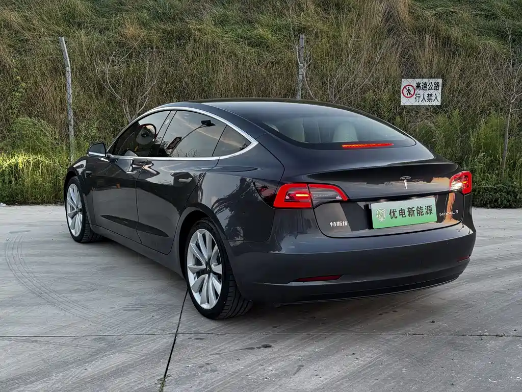 Tesla Model 3 — миниатюра 4