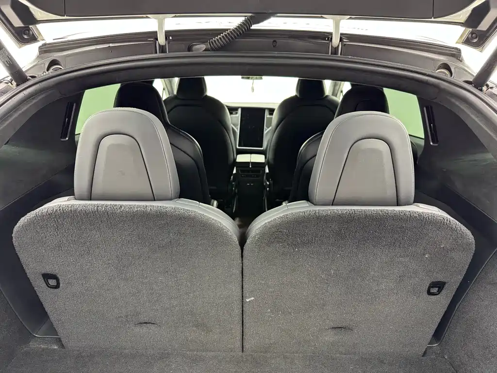 Tesla Model X — миниатюра 23