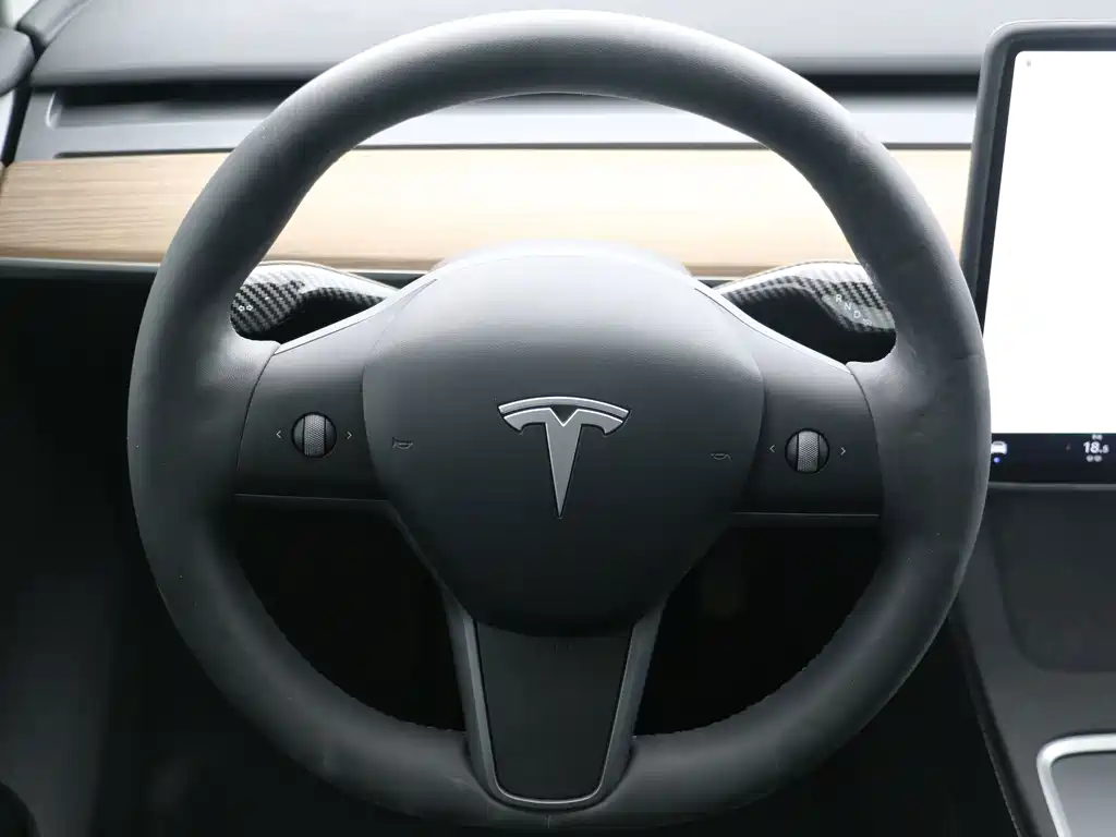 Tesla Model Y — миниатюра 10