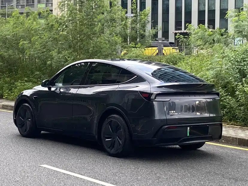 Tesla Model Y — миниатюра 5