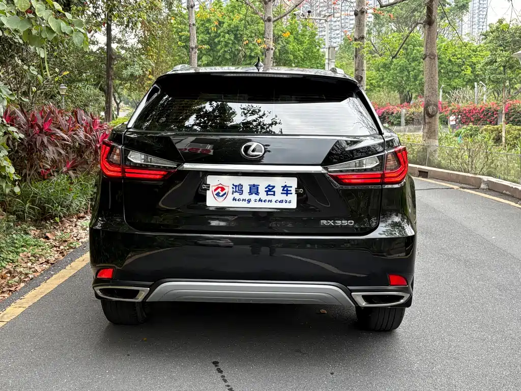 Lexus RX — миниатюра 4