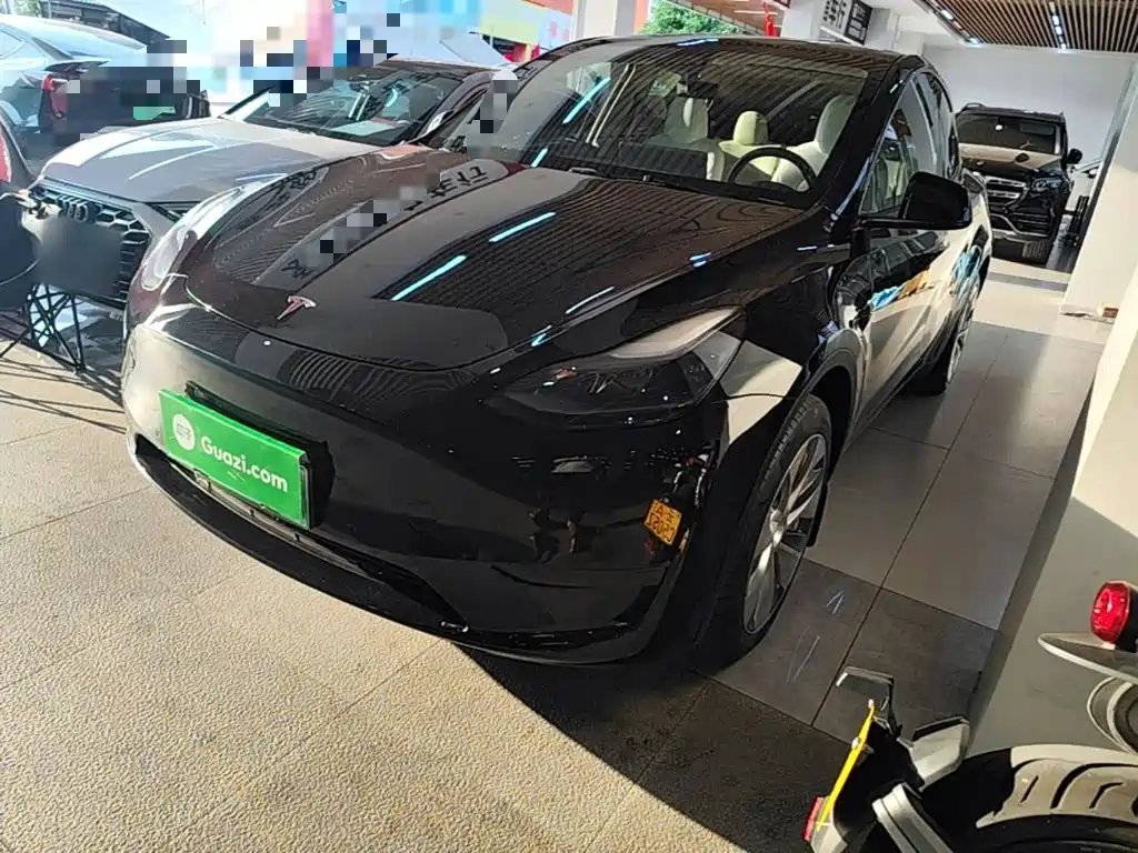 Tesla Model Y — миниатюра 2