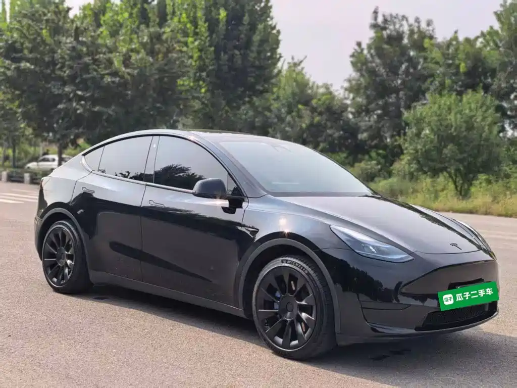 Tesla Model Y — миниатюра 4