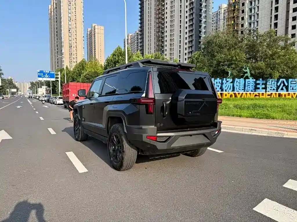 Mengshi Mengshi 917 — миниатюра 4