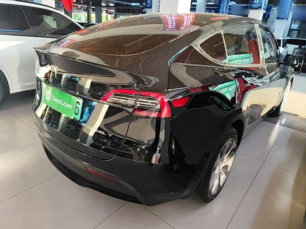 Tesla Model Y — миниатюра 7