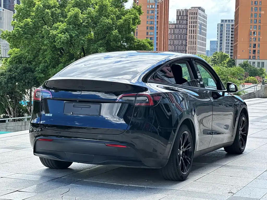 Tesla Model Y — миниатюра 6