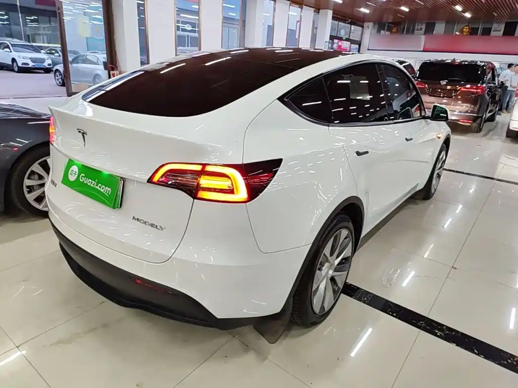 Tesla Model Y — миниатюра 7