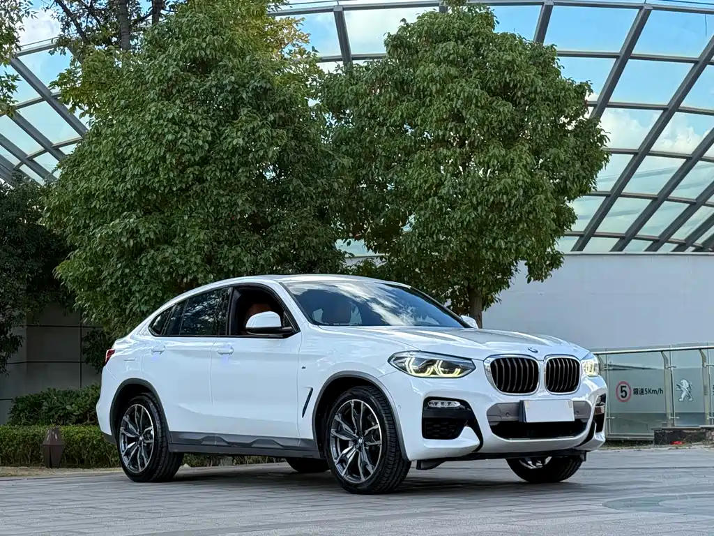 BMW X4 — миниатюра 3