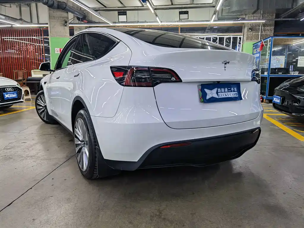Tesla Model Y — миниатюра 6