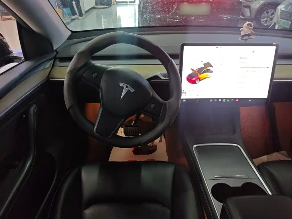 Tesla Model Y — миниатюра 11