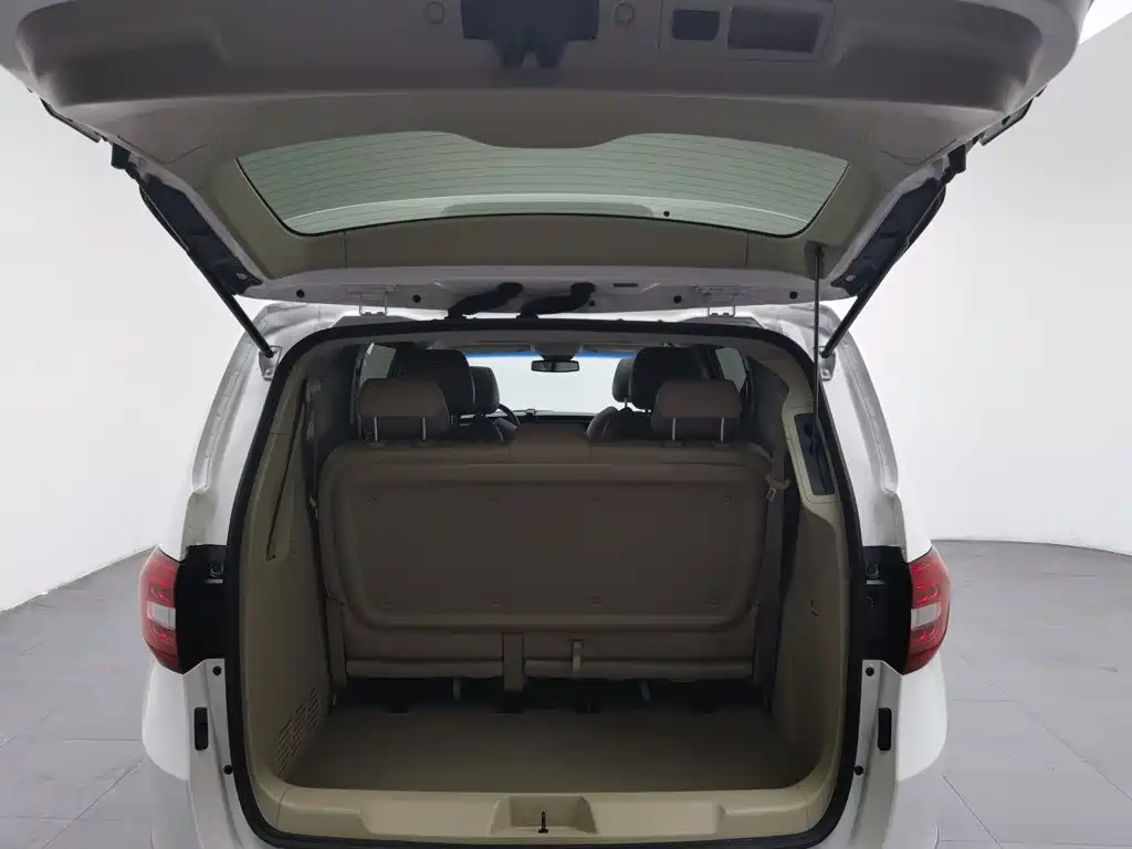 Buick GL8 — миниатюра 16