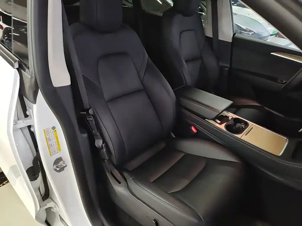 Tesla Model Y — миниатюра 25