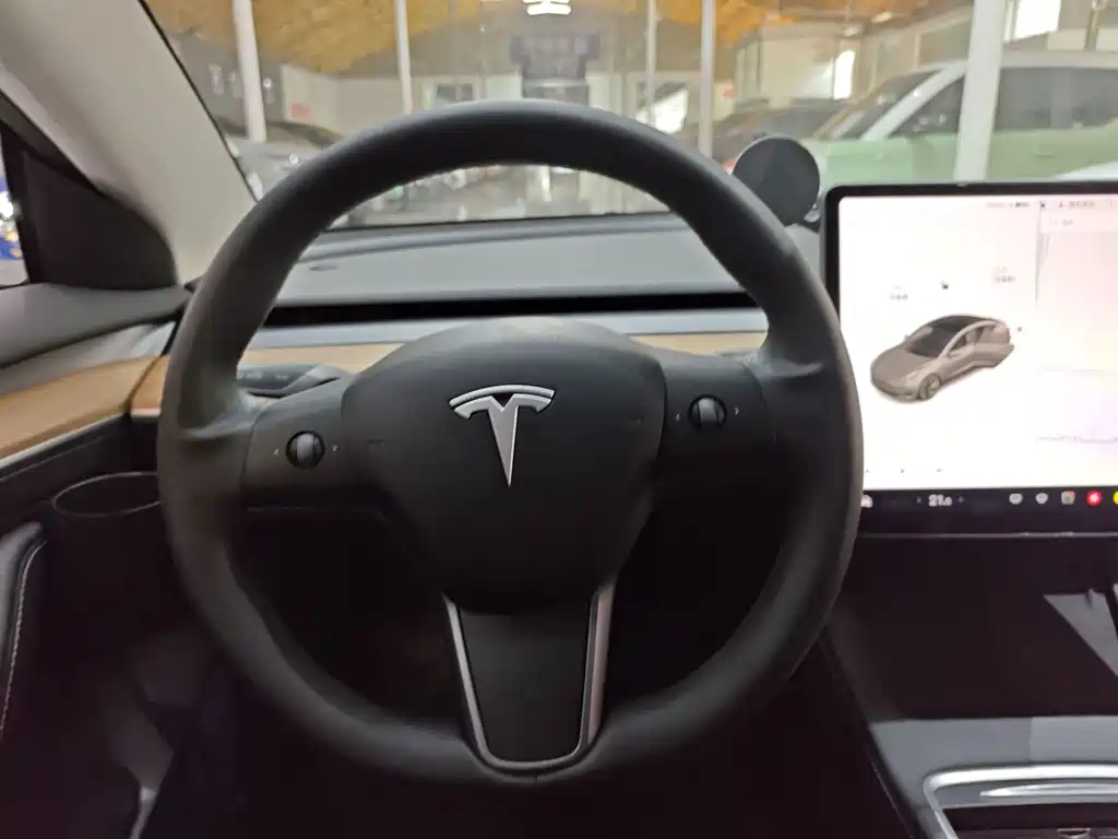 Tesla Model 3 — миниатюра 13