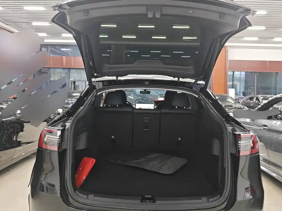 Tesla Model Y — миниатюра 4