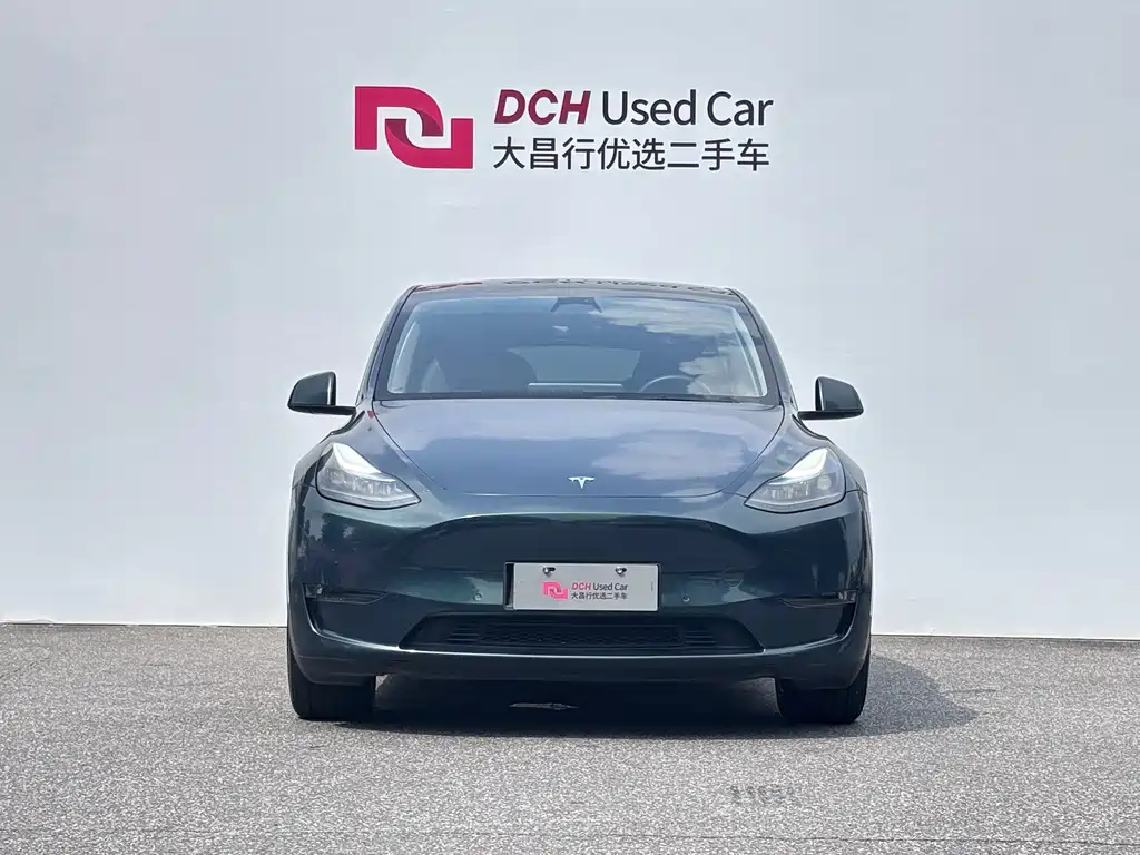 Tesla Model Y — миниатюра 2