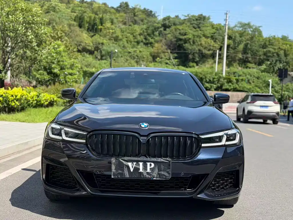 BMW 5 Series — миниатюра 2