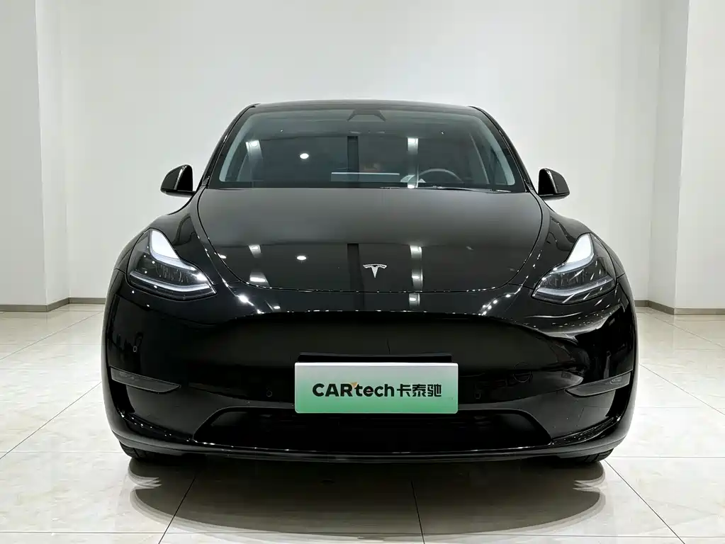 Tesla Model Y — миниатюра 2