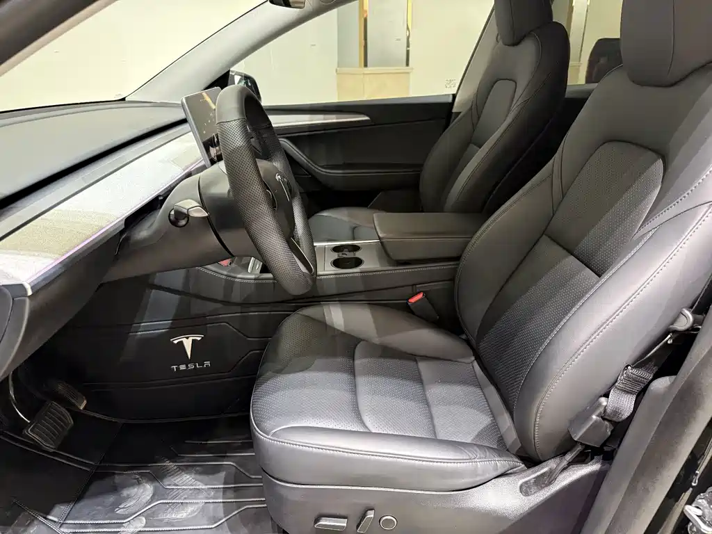 Tesla Model Y — миниатюра 5