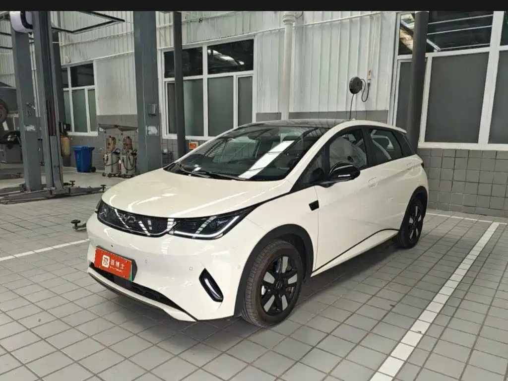 BYD Dolphin — миниатюра 6