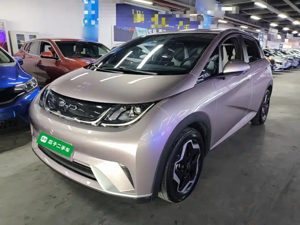 BYD Dolphin — миниатюра 2