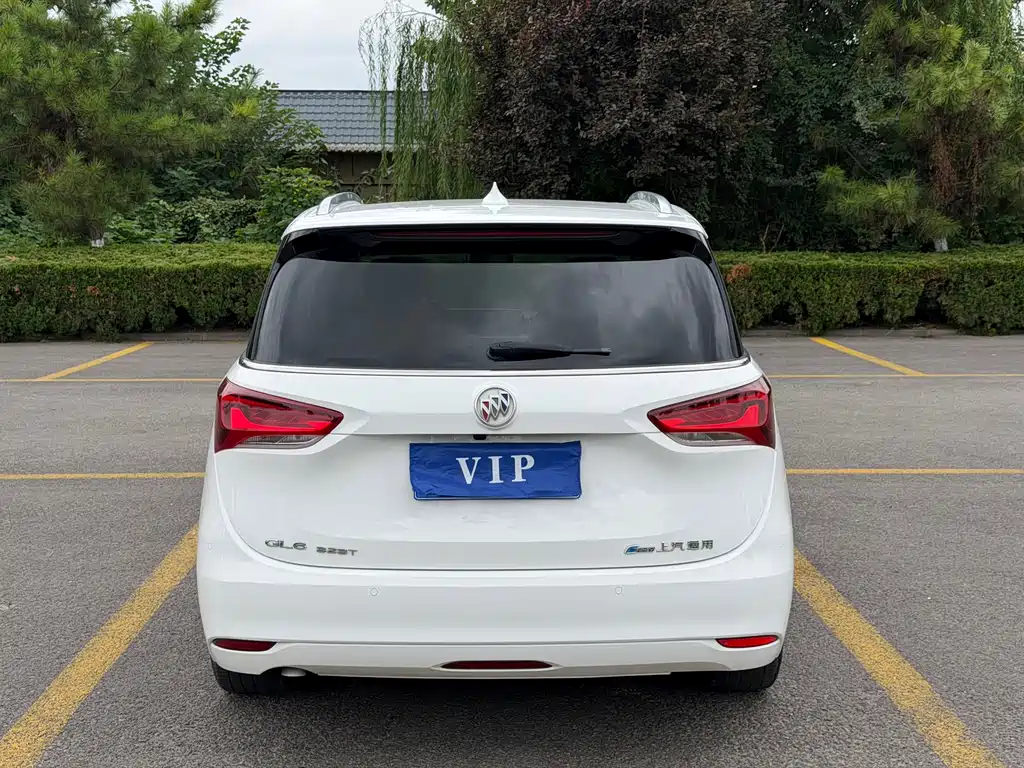 Buick GL6 — миниатюра 4