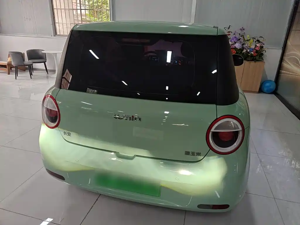 Qiyuan Lumin — миниатюра 6