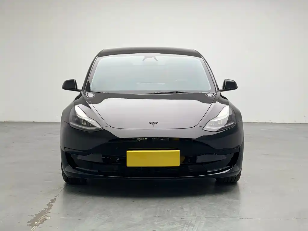 Tesla Model 3 — миниатюра 2