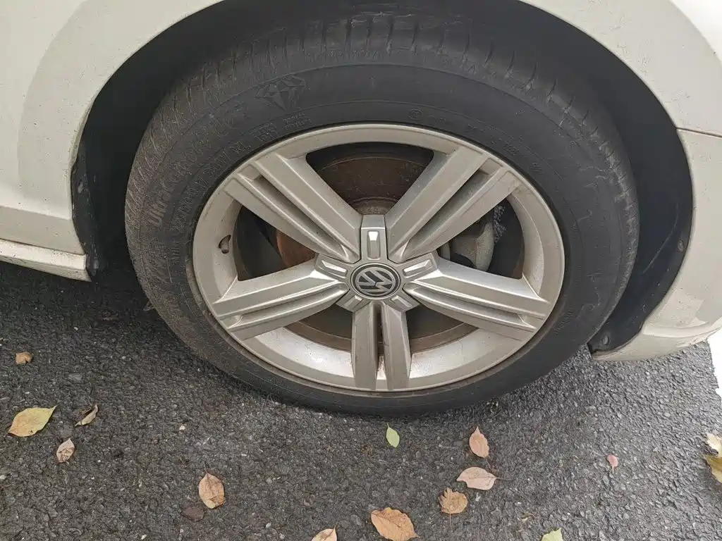 Volkswagen Lamando — миниатюра 23