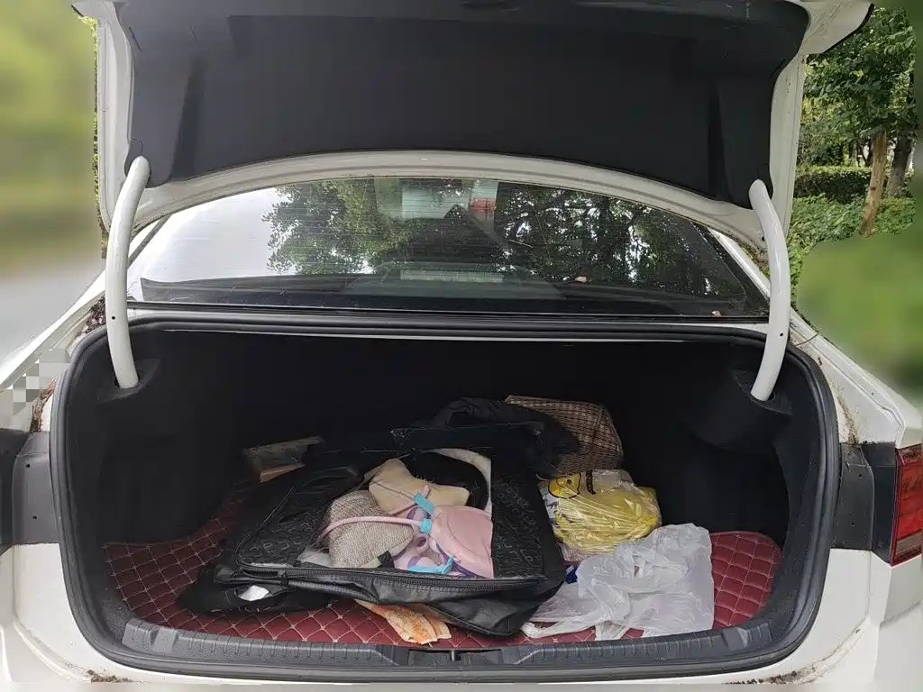 Volkswagen Lamando — миниатюра 10