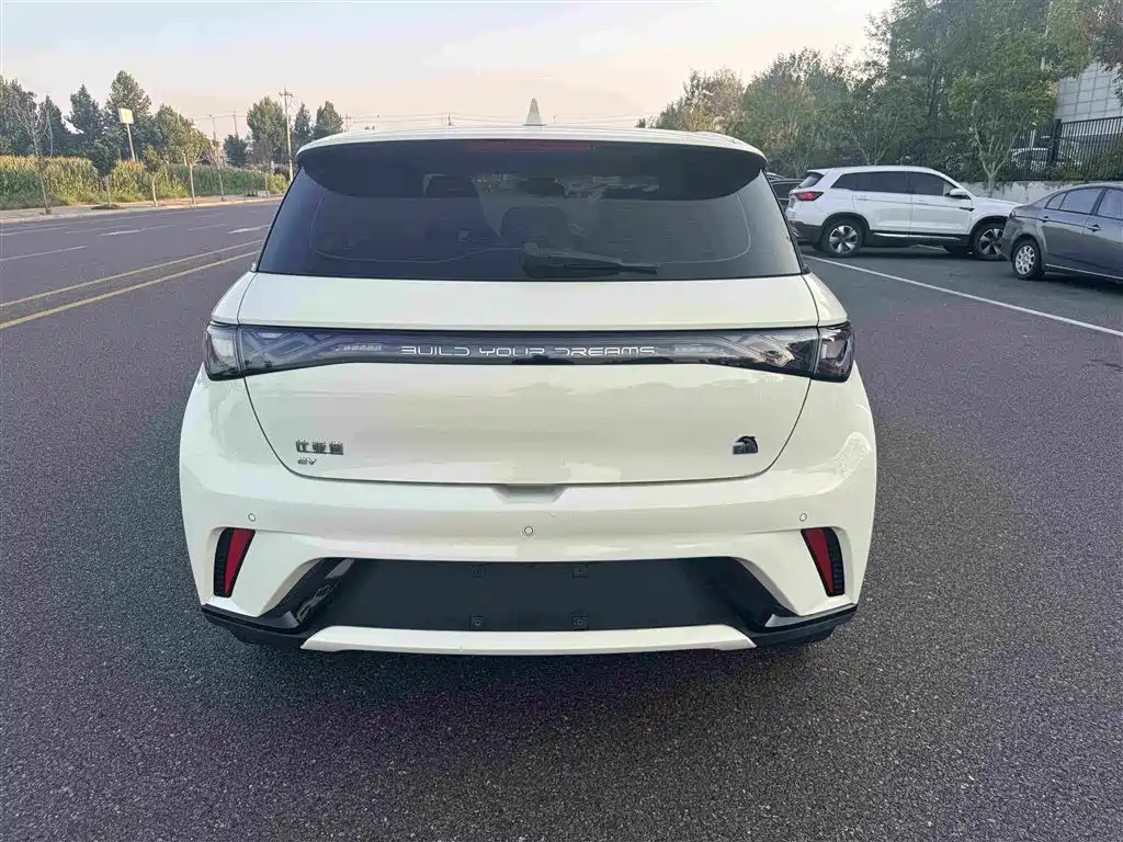 BYD Dolphin — миниатюра 18