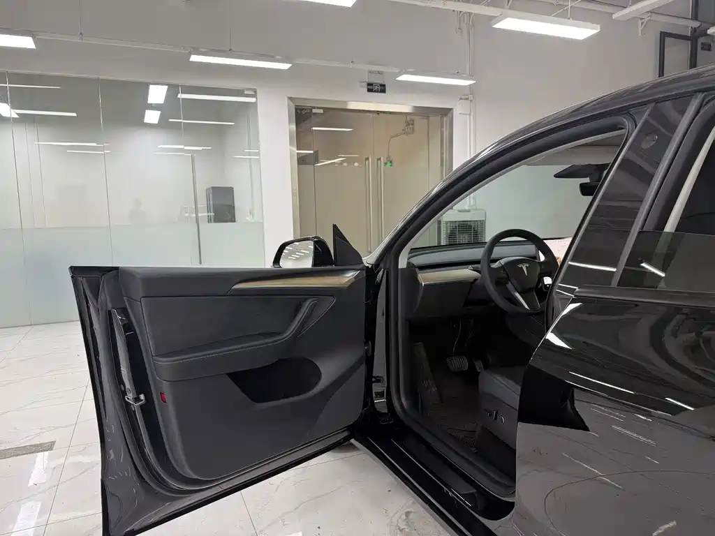 Tesla Model Y — миниатюра 8