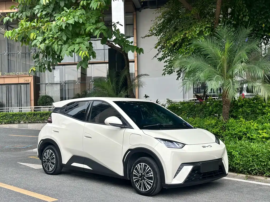 BYD Seagull