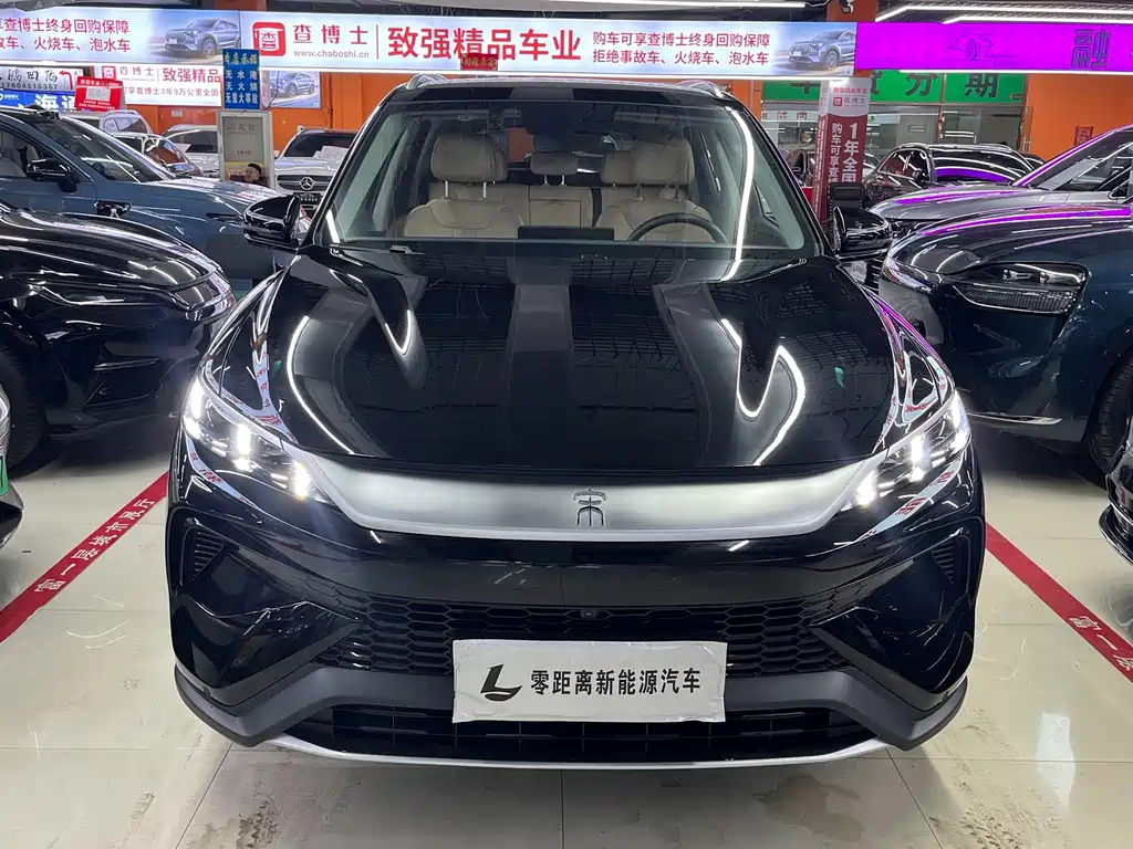BYD Pro New Energy — миниатюра 2