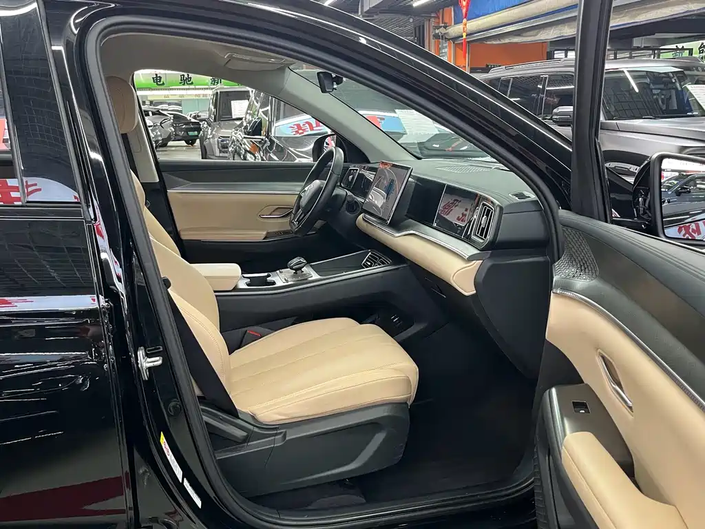 BYD Pro New Energy — миниатюра 16