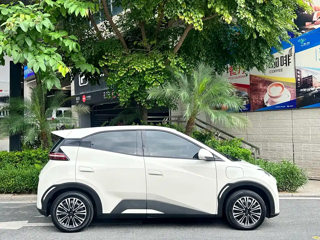 BYD Seagull