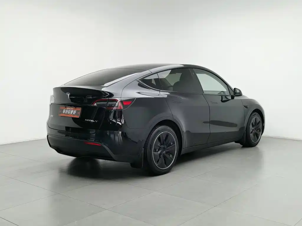 Tesla Model Y — миниатюра 2