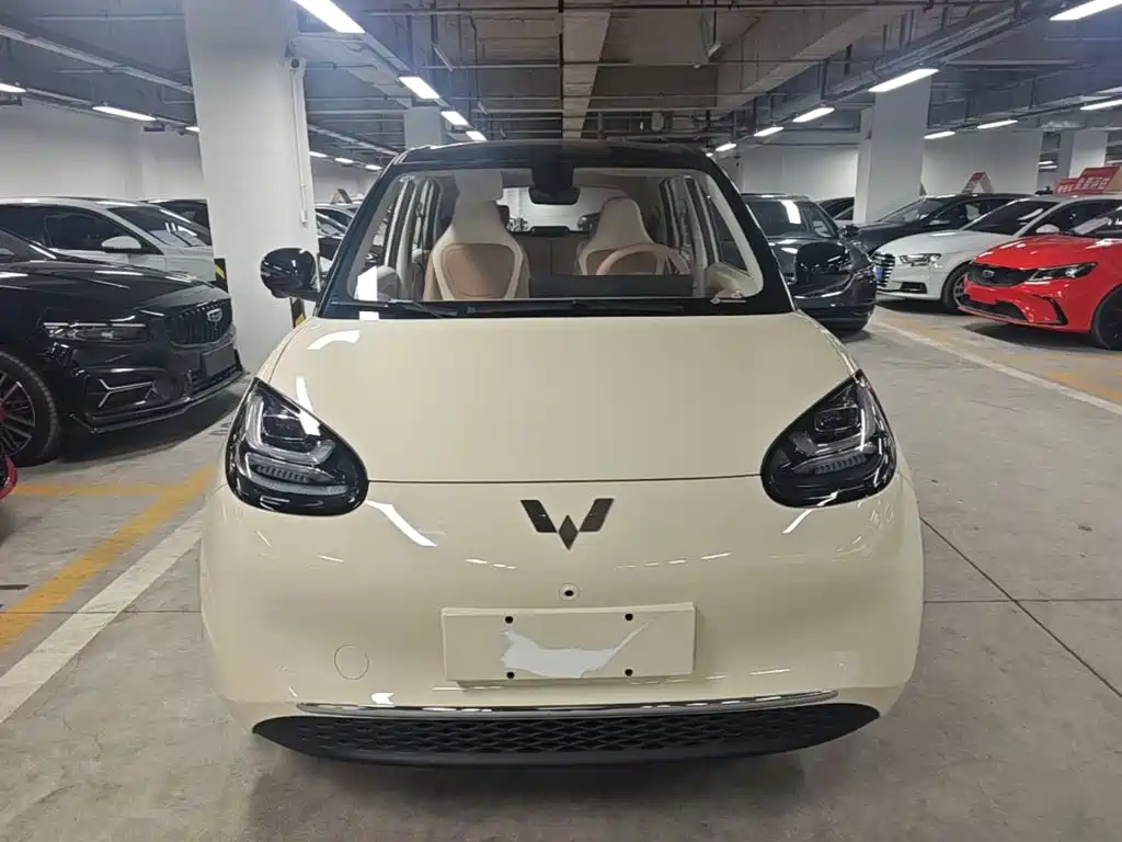 Wuling Binguo 2025 333km Premium