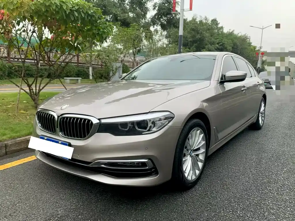 BMW 5 Series 2019