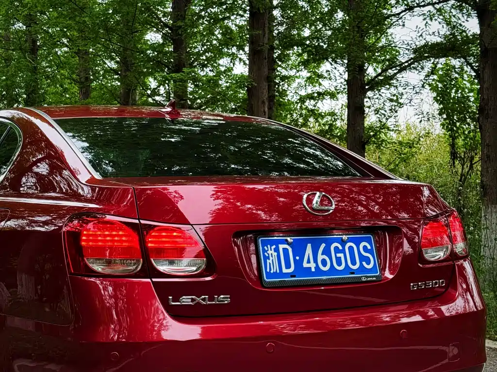 Lexus GS 2010 300