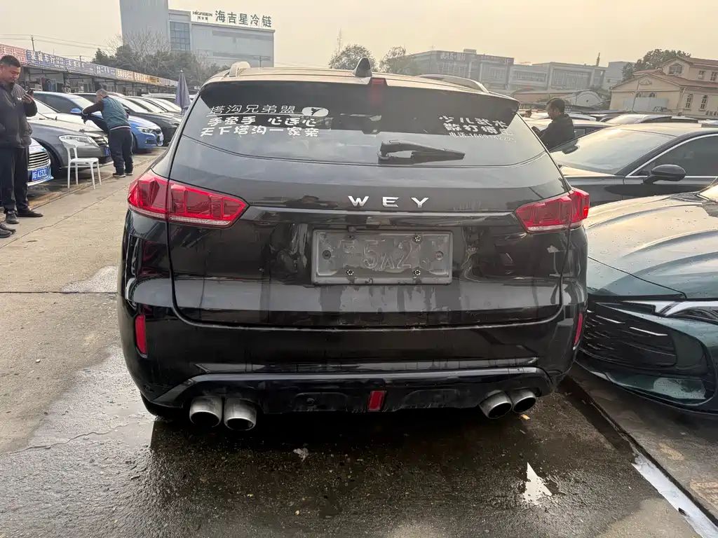 WEI PAI WEI BRAND VV7