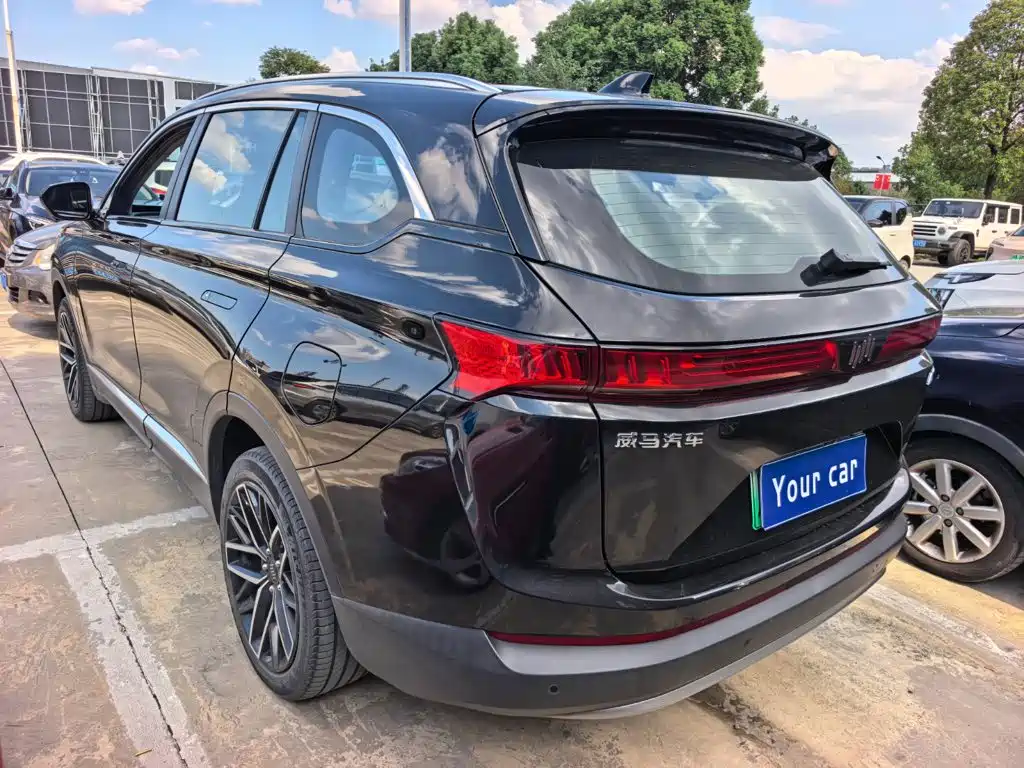WM Motor EX6 — миниатюра 4