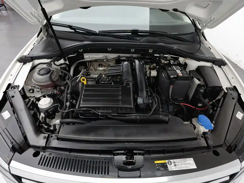 Volkswagen Lamando — миниатюра 6
