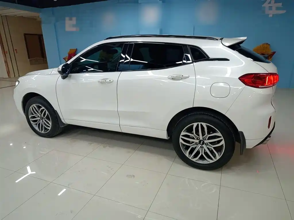 WEI PAI WEI BRAND VV5