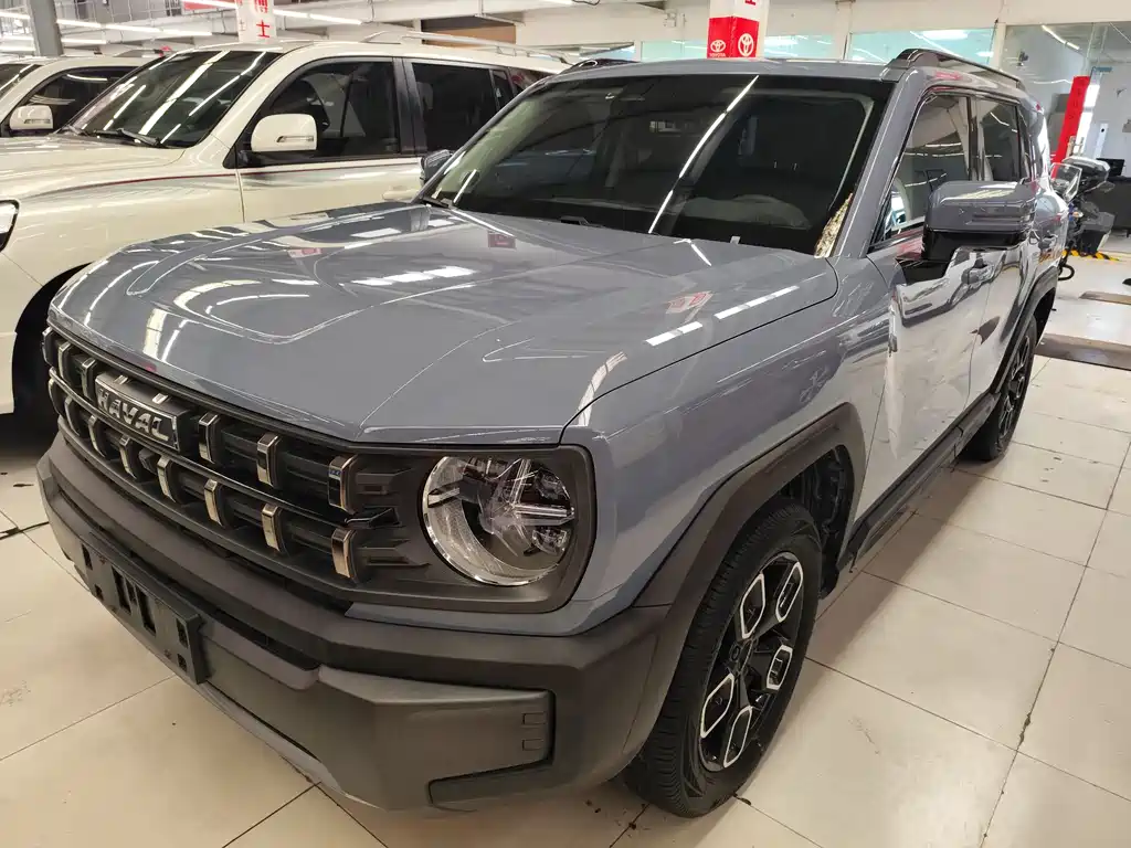 Купить Haval Cool Dog