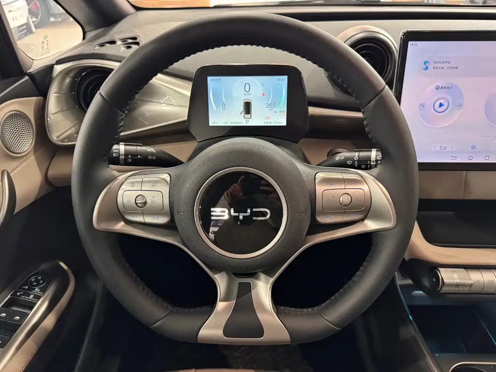 BYD Dolphin — миниатюра 11
