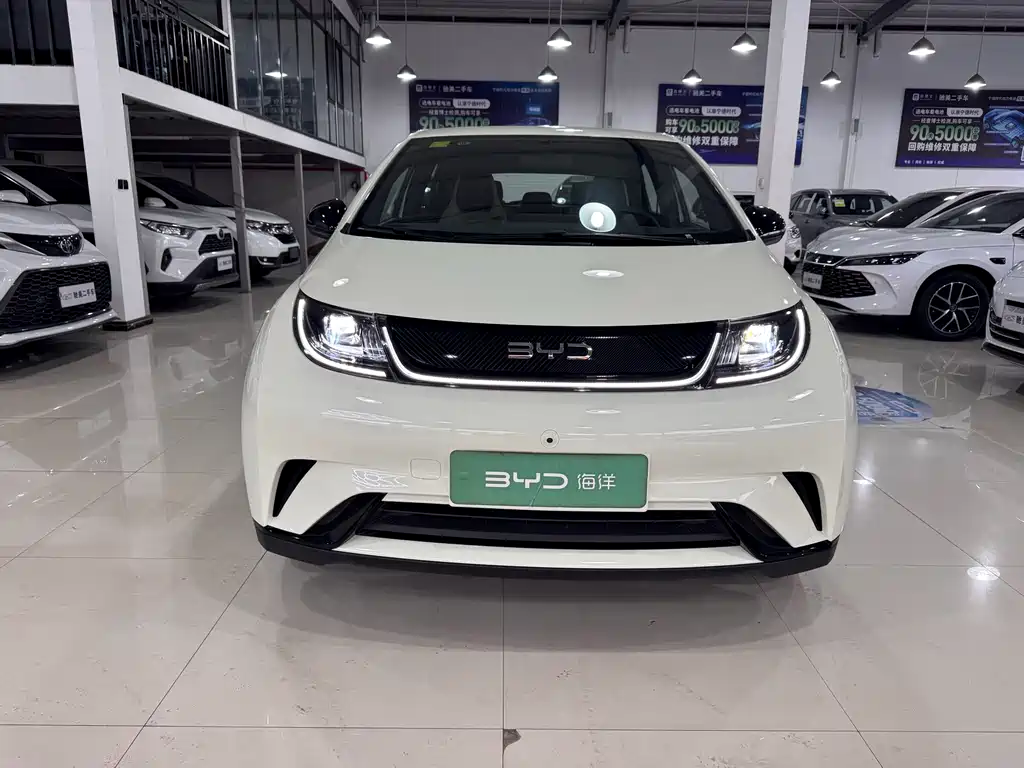 BYD Dolphin — миниатюра 2